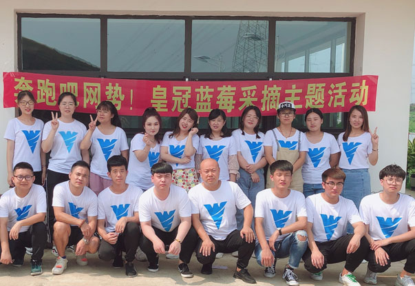 【奔跑吧網(wǎng)勢(shì)！】藍(lán)莓采摘主題團(tuán)建活動(dòng)